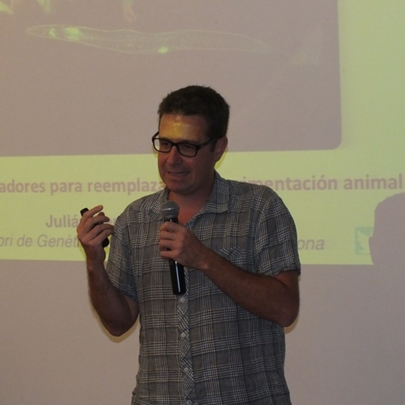 Métodos para reemplazar la experimentación animal