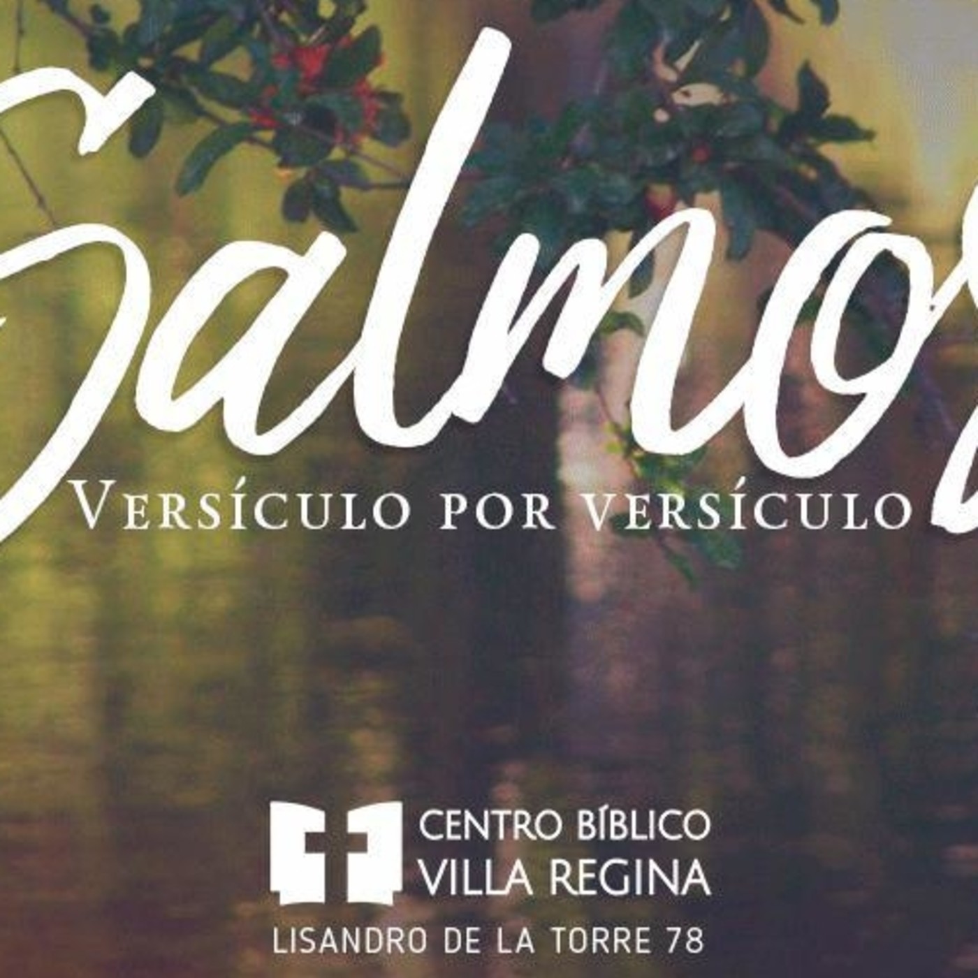 Salmos, versículo por versículo