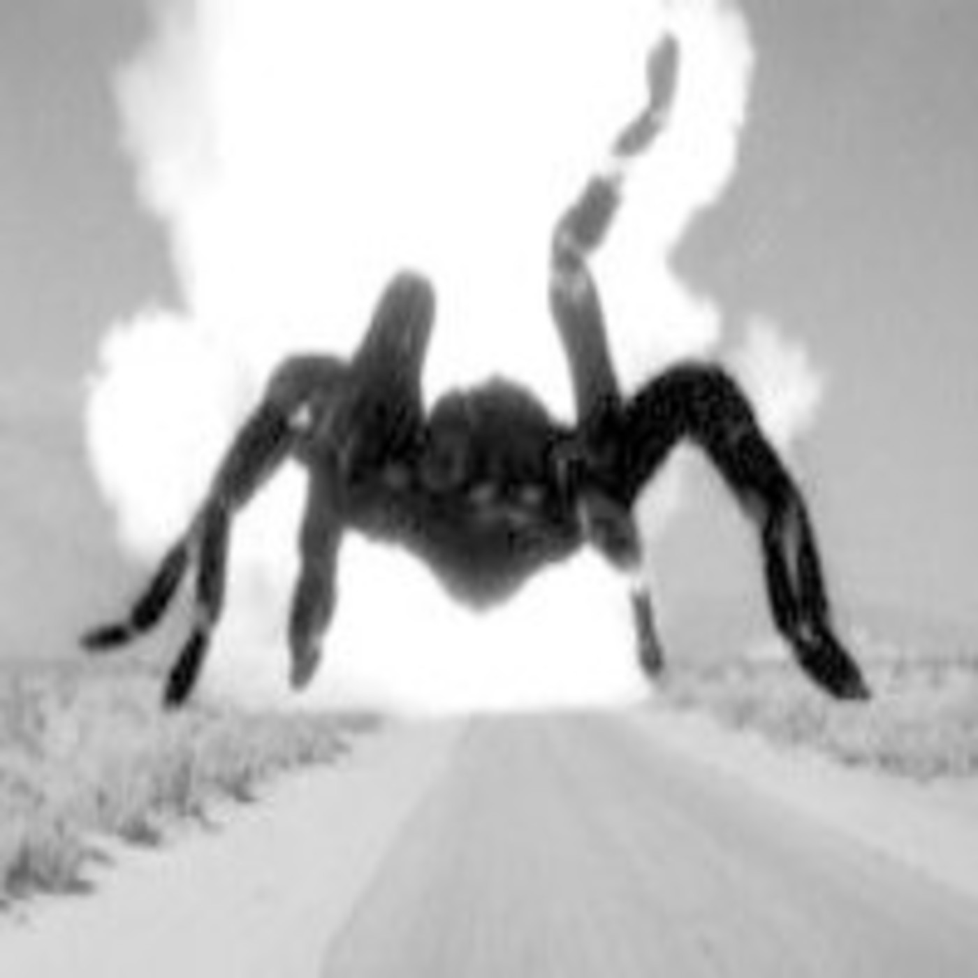 31 días de terror II # 4- Tarantula (Jack Arnold, 1955) - Episodio exclusivo para mecenas