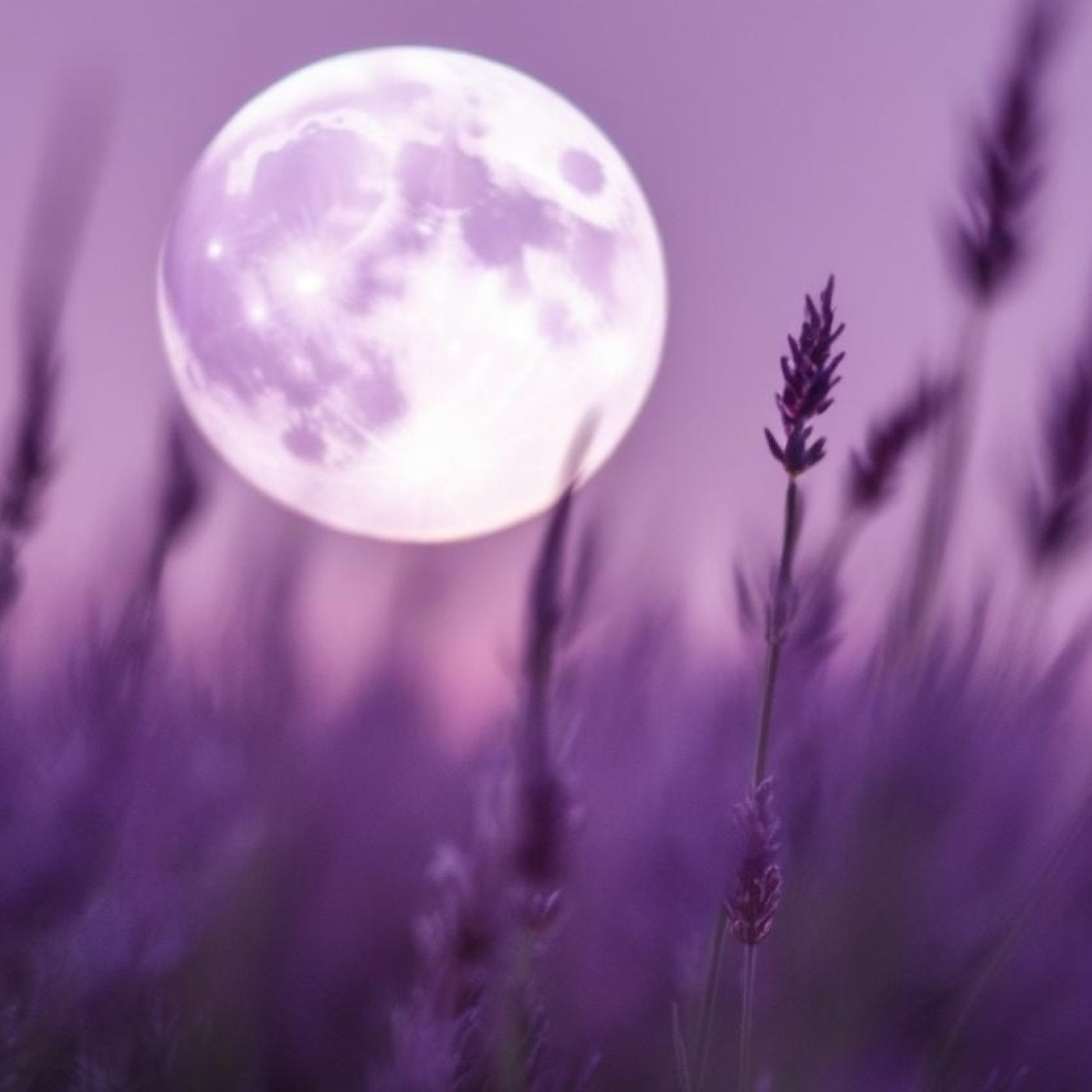 Nuria Claro de Luna médium escribiente