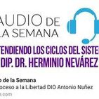 AUDIO DE LA SEMANA 17 - D.I.P, Dr. Herminio Nevárez - Entendiendo los ciclos del sistema