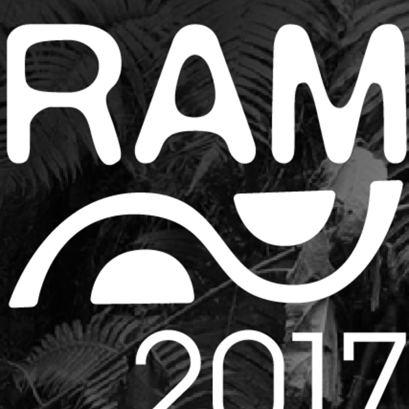 RAM 2017