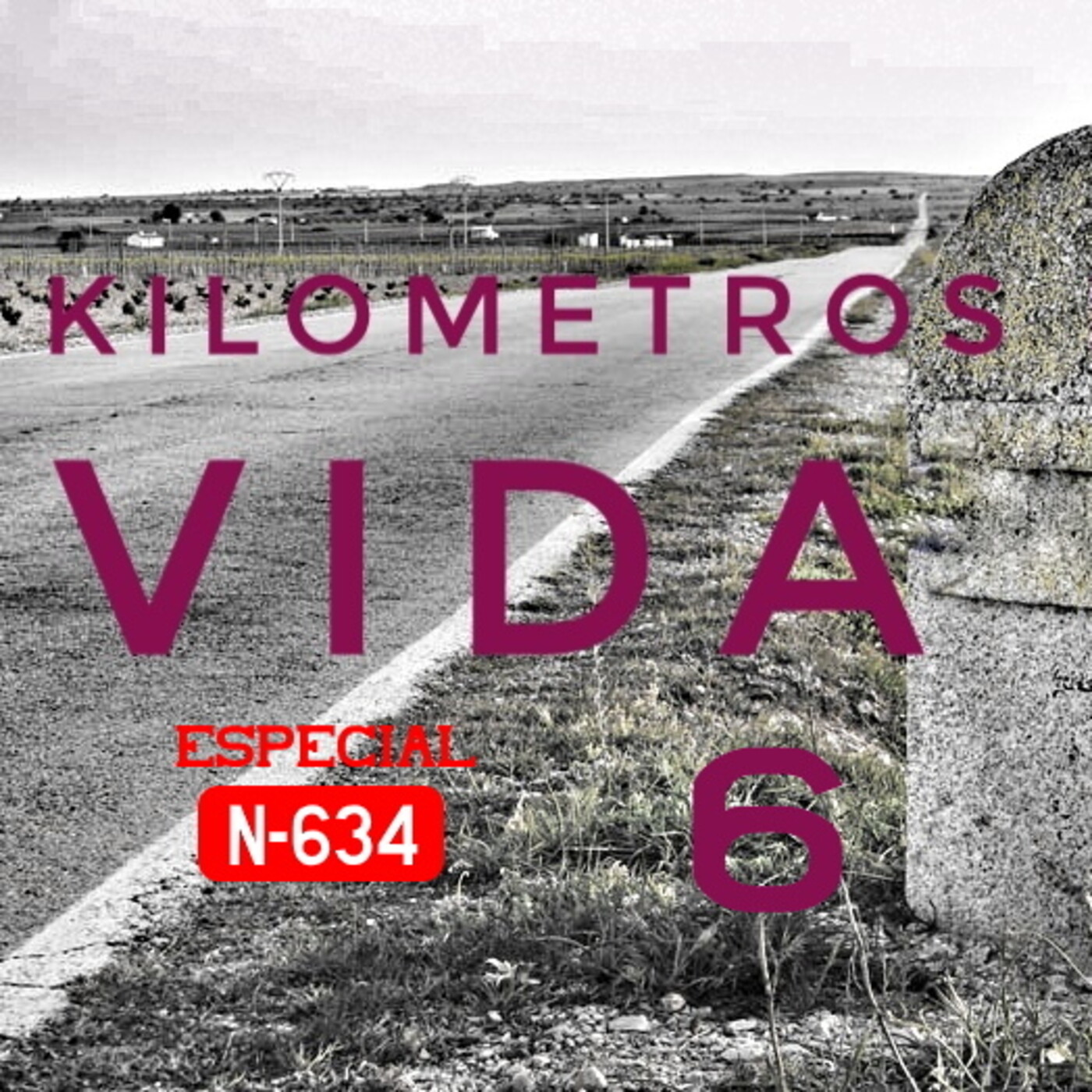 Kilómetros de Vida