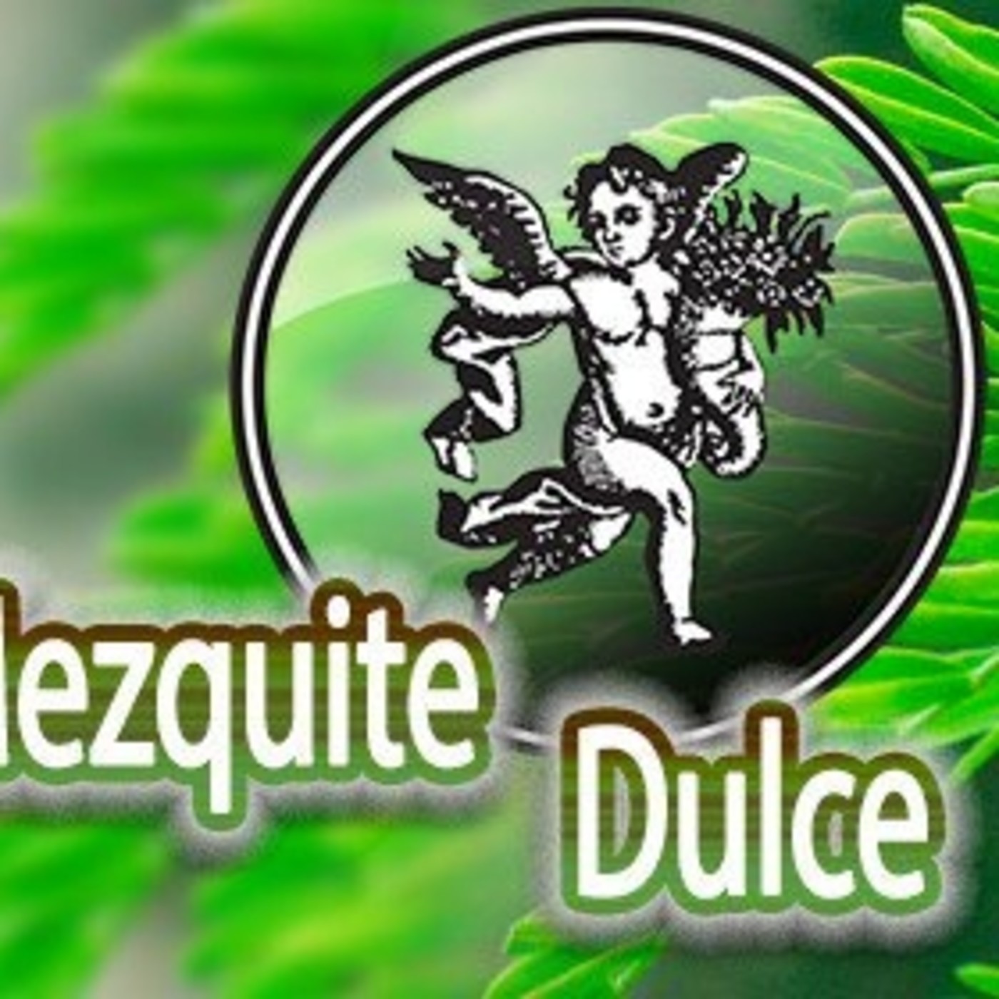 El Ángel de tu Salud - MEZQUITE DULCE II episode artwork