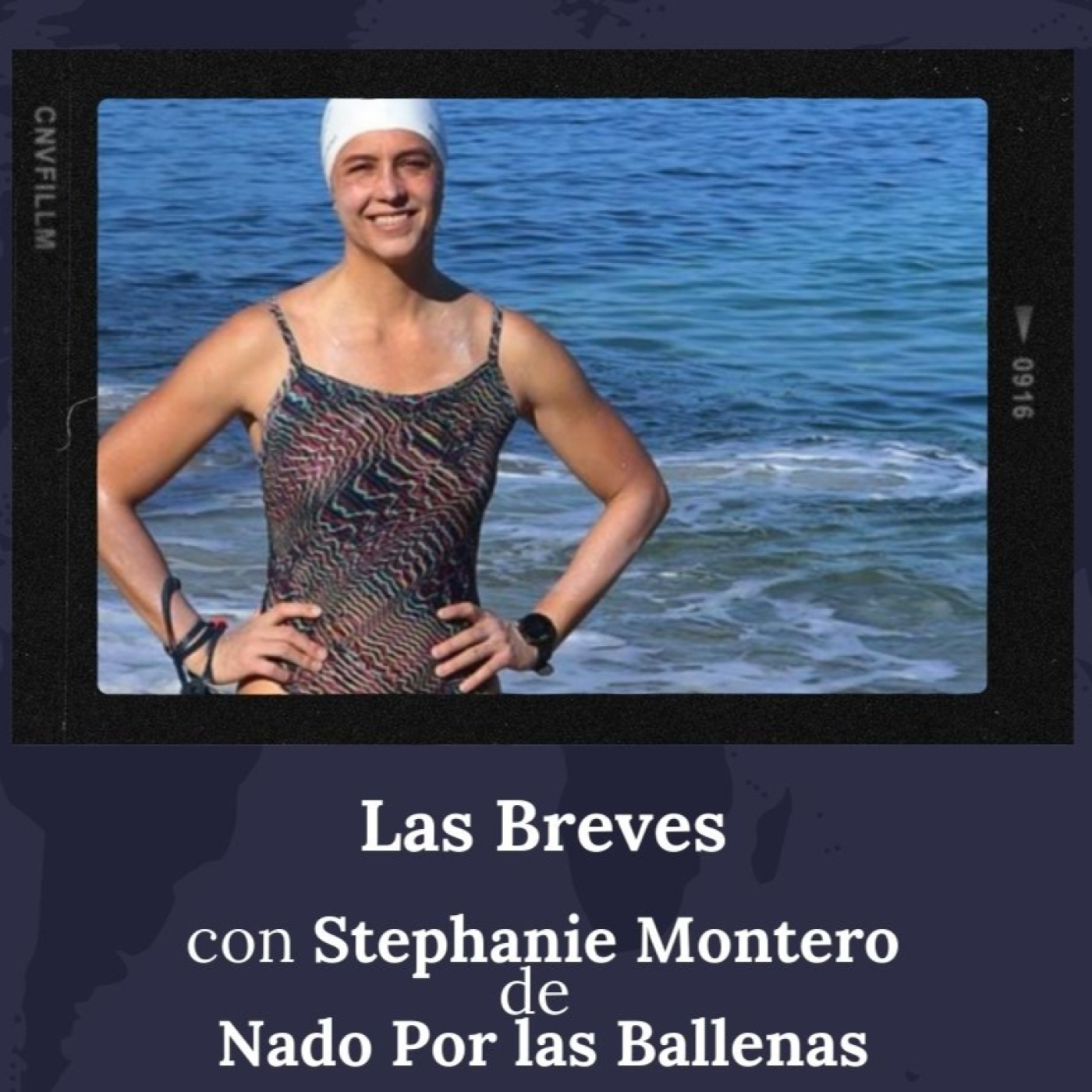 Todos Somos Animales News