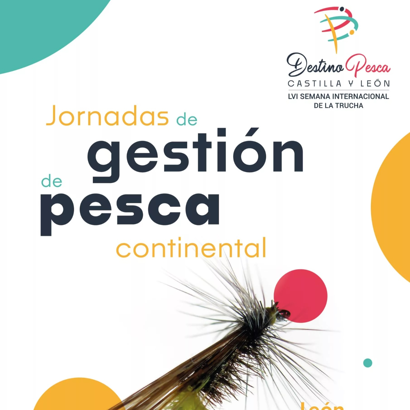 Rio de la Vida pesca