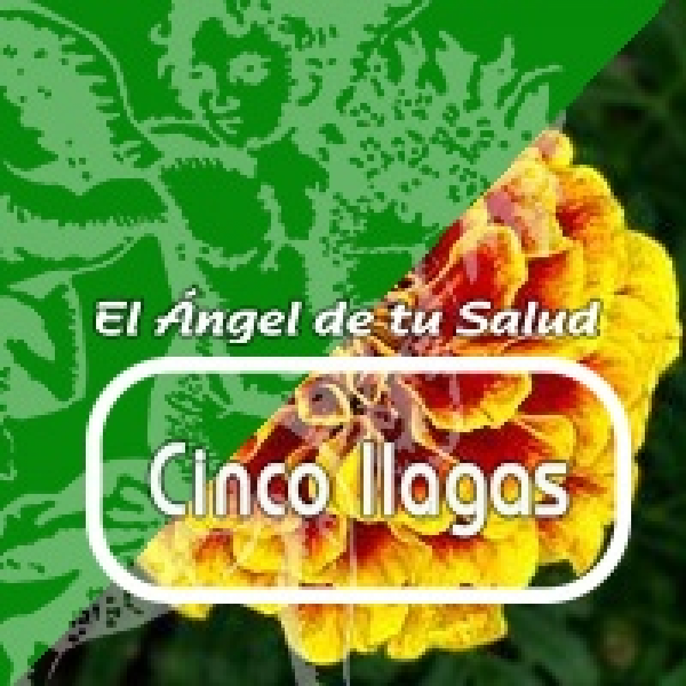 El Ángel de tu Salud - CINCO LLAGAS **