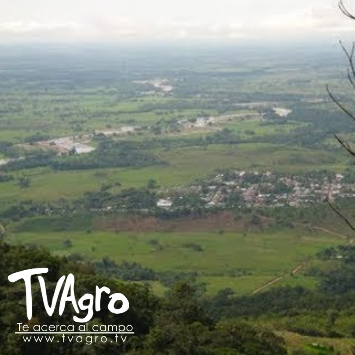 TV AGRO