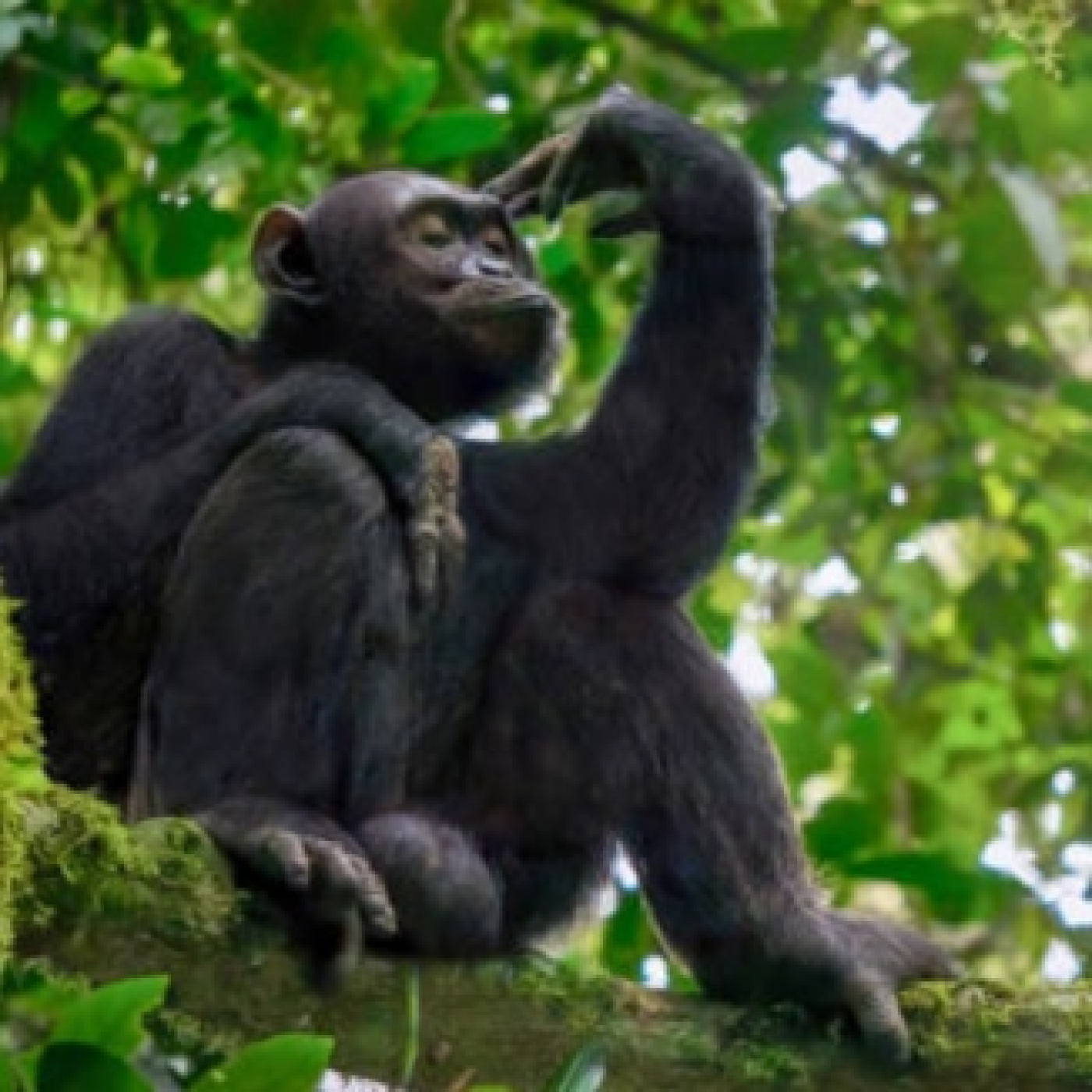 El reto de la verdad