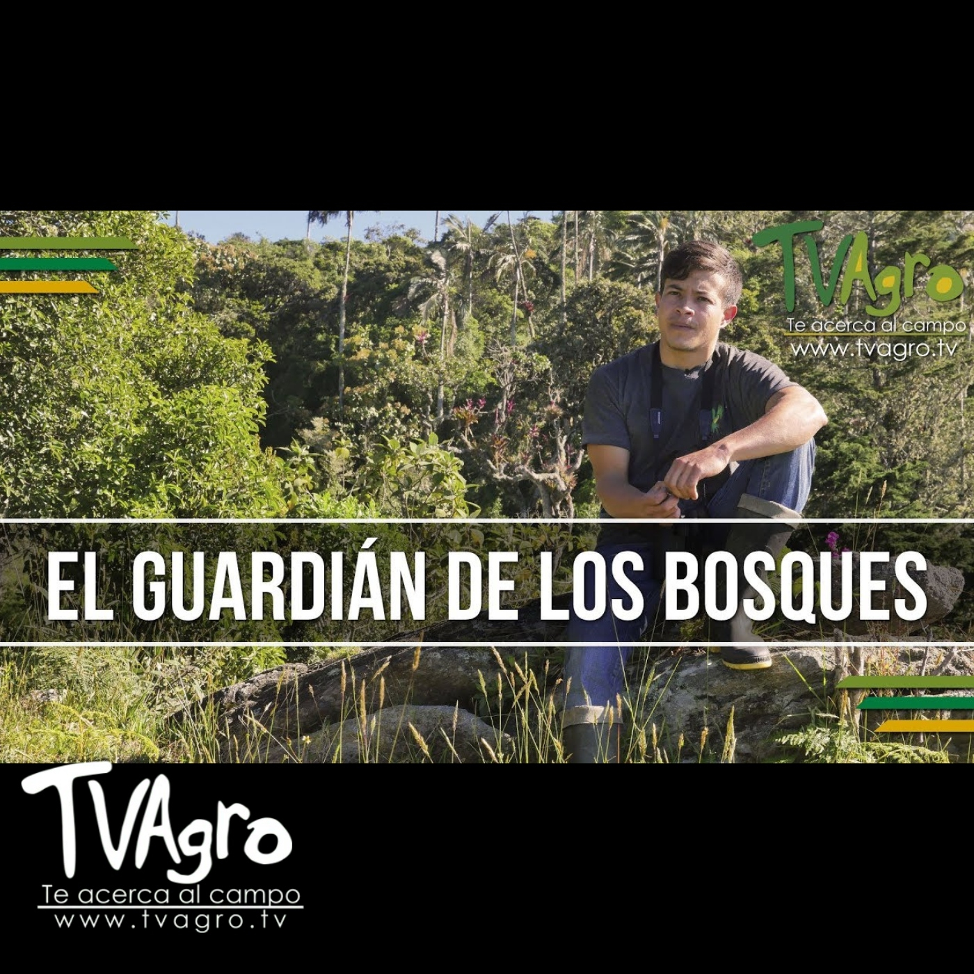 TV AGRO