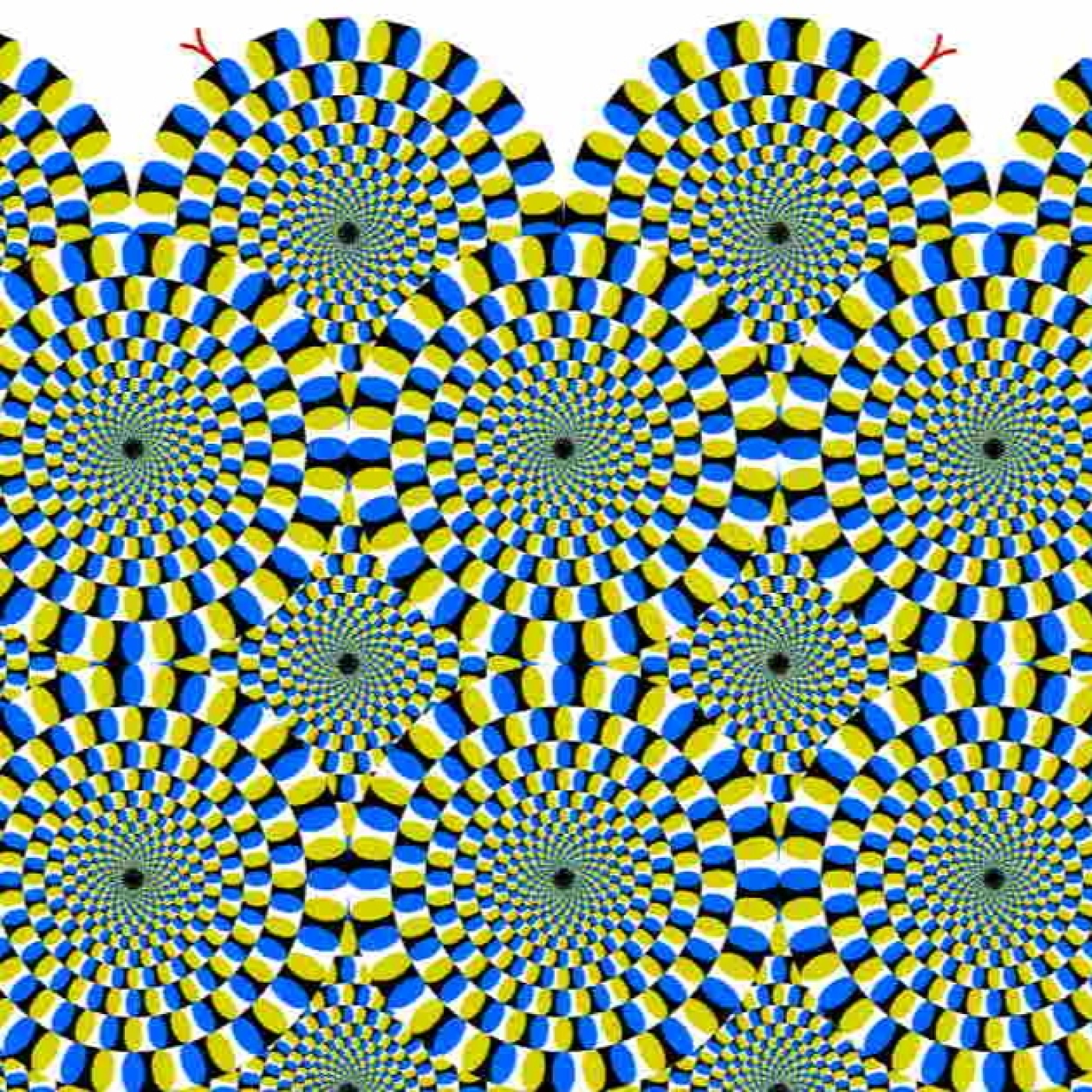 SN 317: La nutrición espiritual