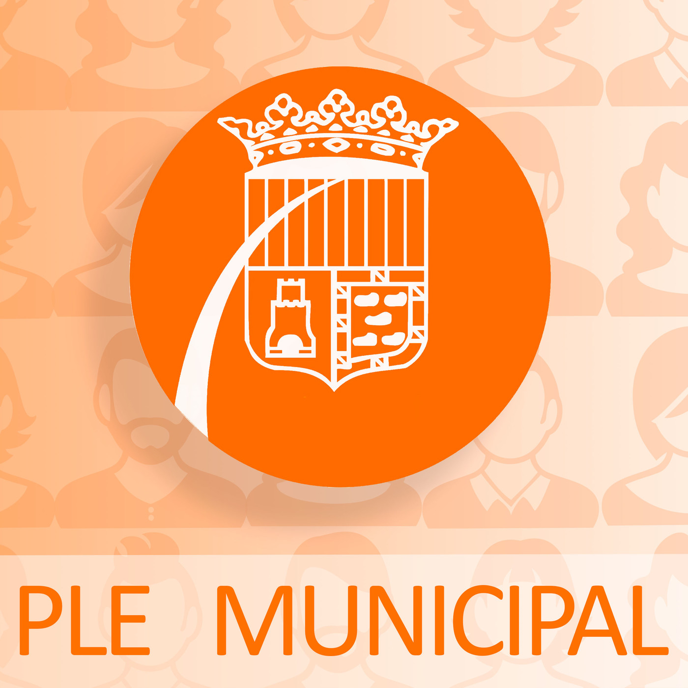 Resum del Ple Extraordinari de Pressupostos 2019 episode artwork