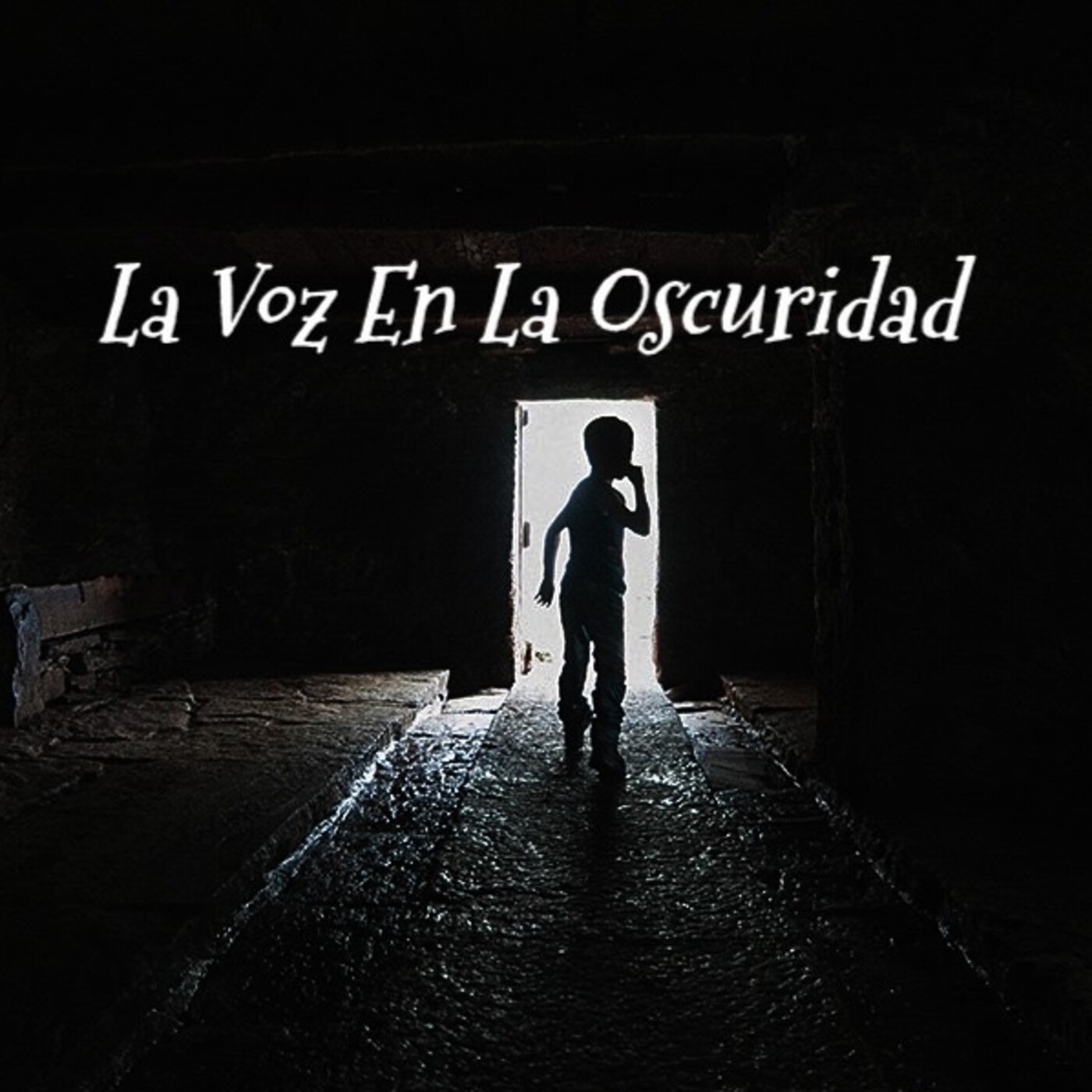 La Voz en la Oscuridad