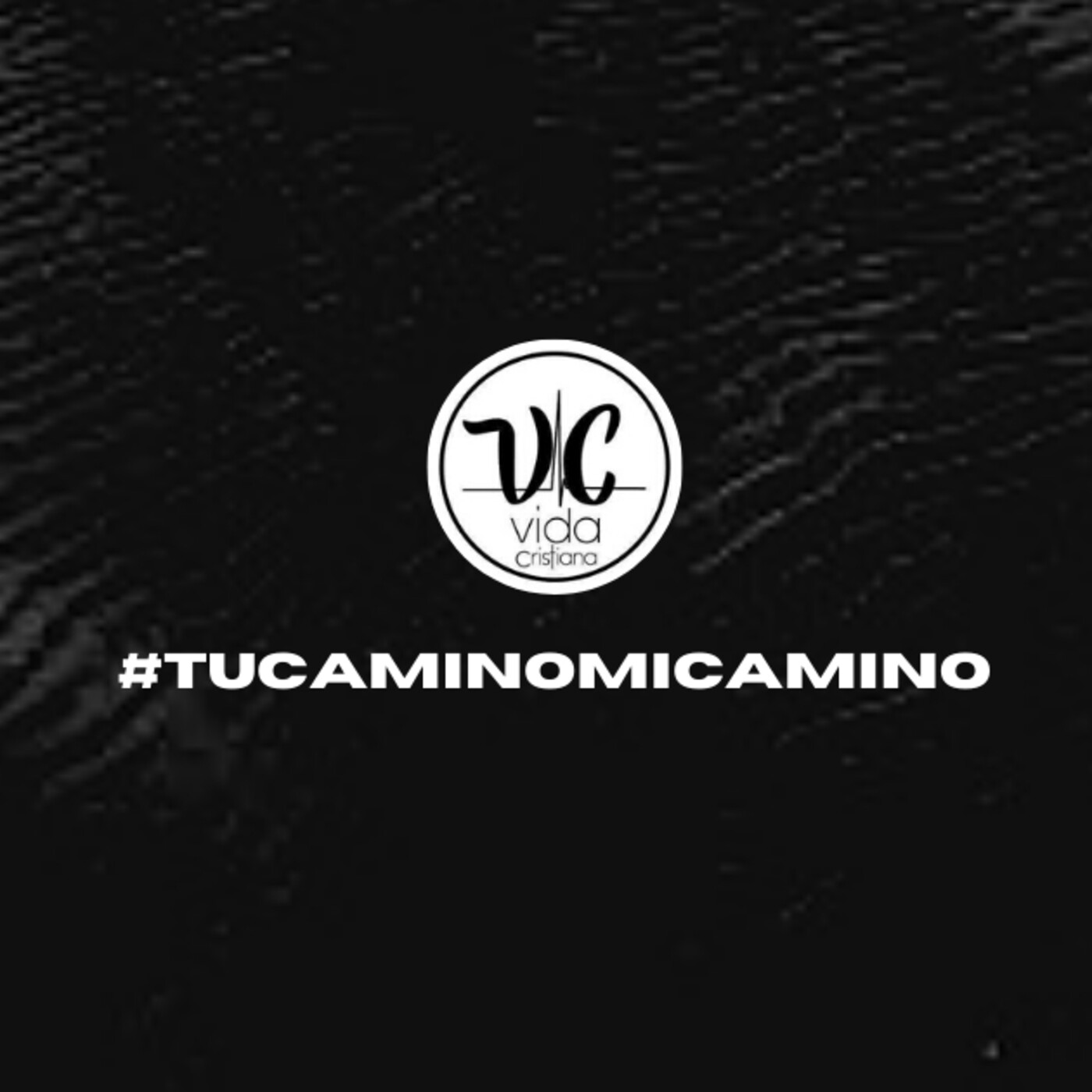 Vida Cristiana Puebla