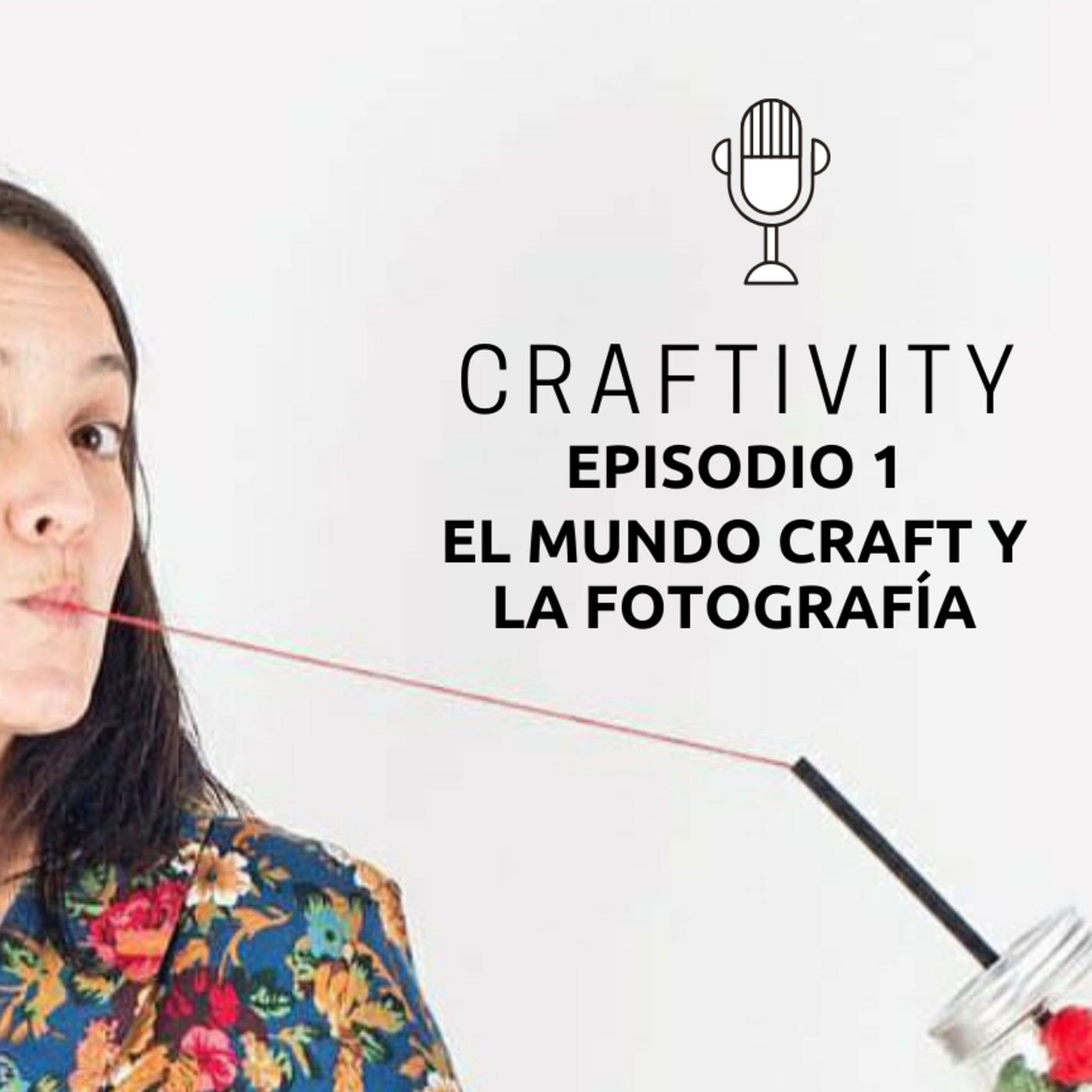 Craftivity