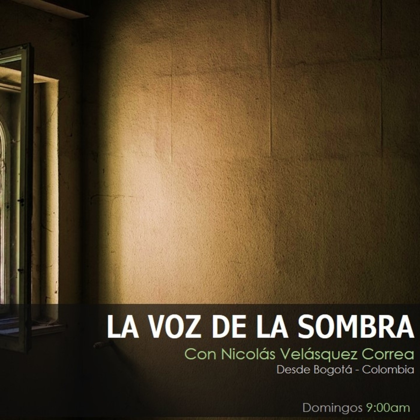 LA VOZ DE LA SOMBRA