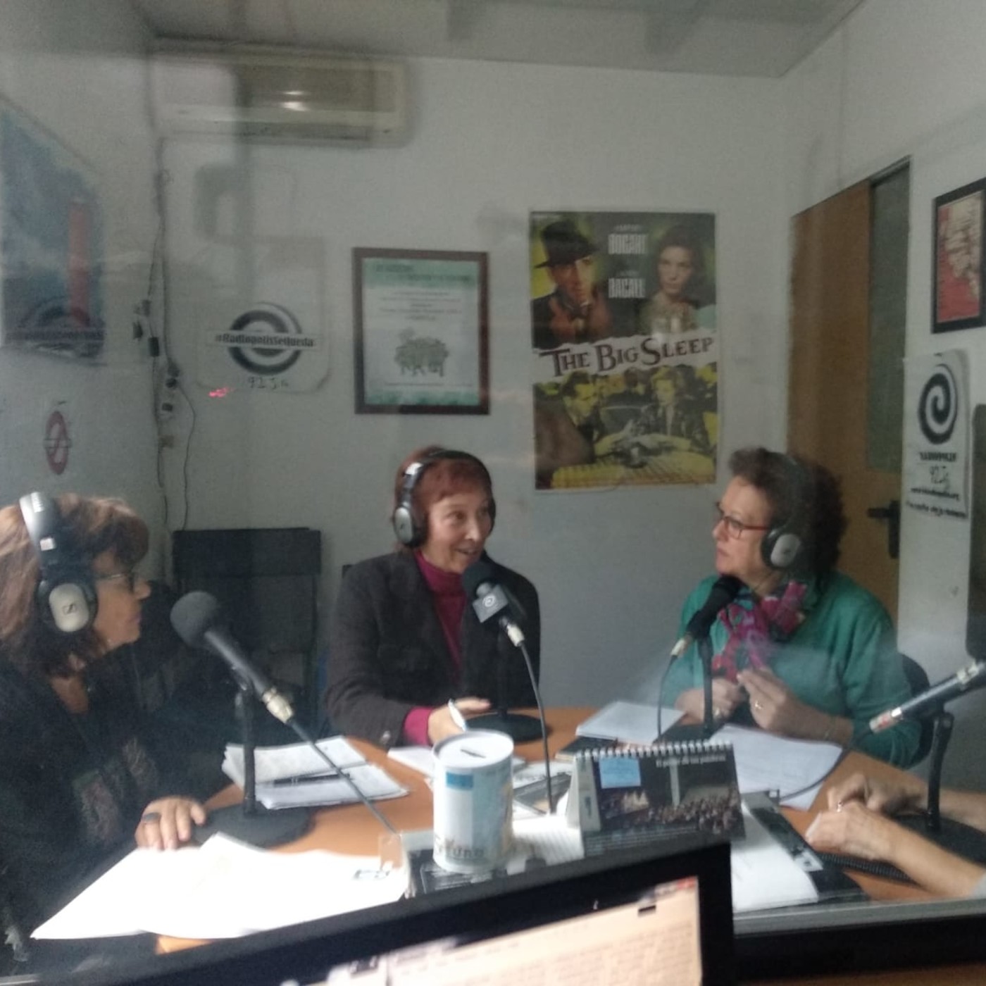 Feminópolis Programa