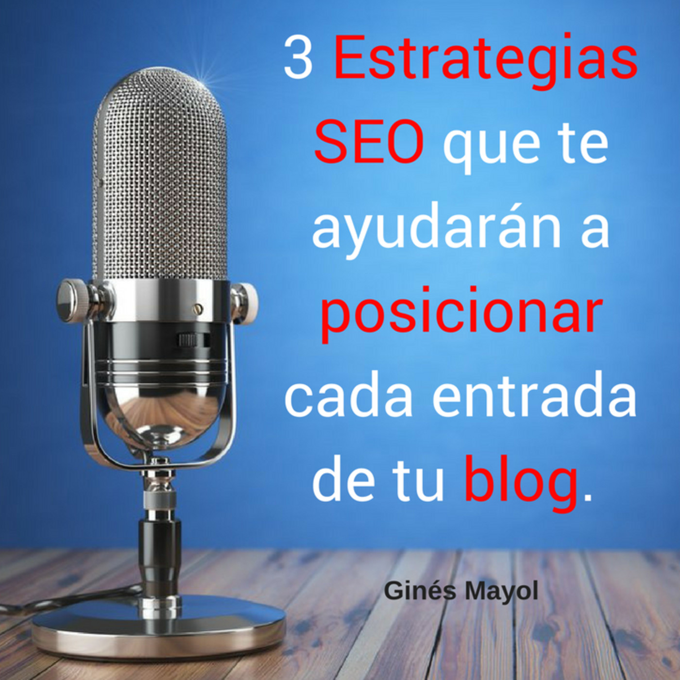 Gines Mayol - SEO