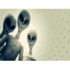 Programa 6. Los aliens también leen