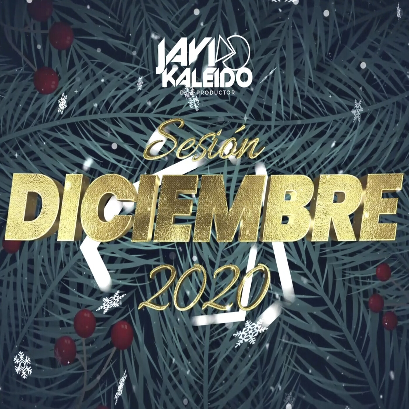 Javi Kaleido Dj