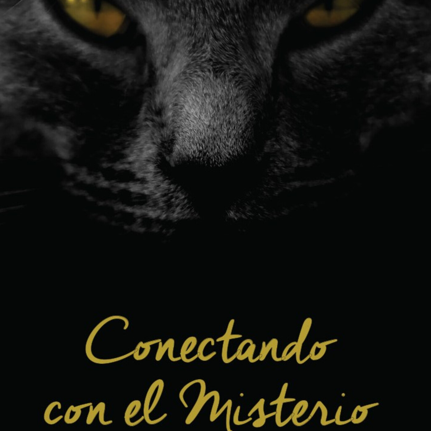 Conectando con el Misterio