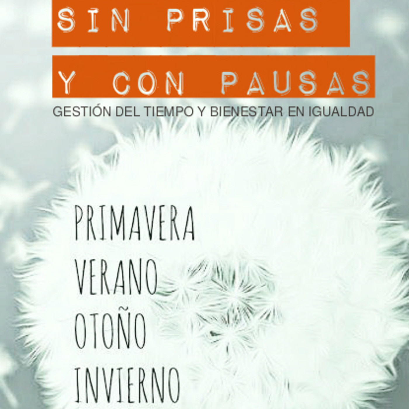 SIN PRISAS Y CON PAUSAS - Igualdad y bienestar