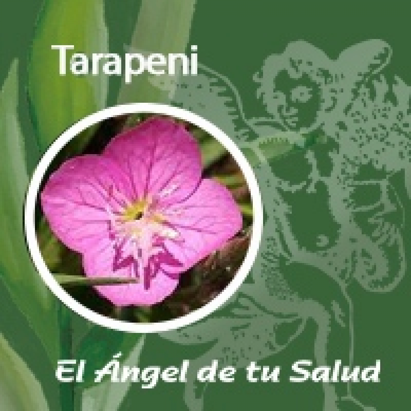 El Ángel de tu Salud - Tarapeni** episode artwork