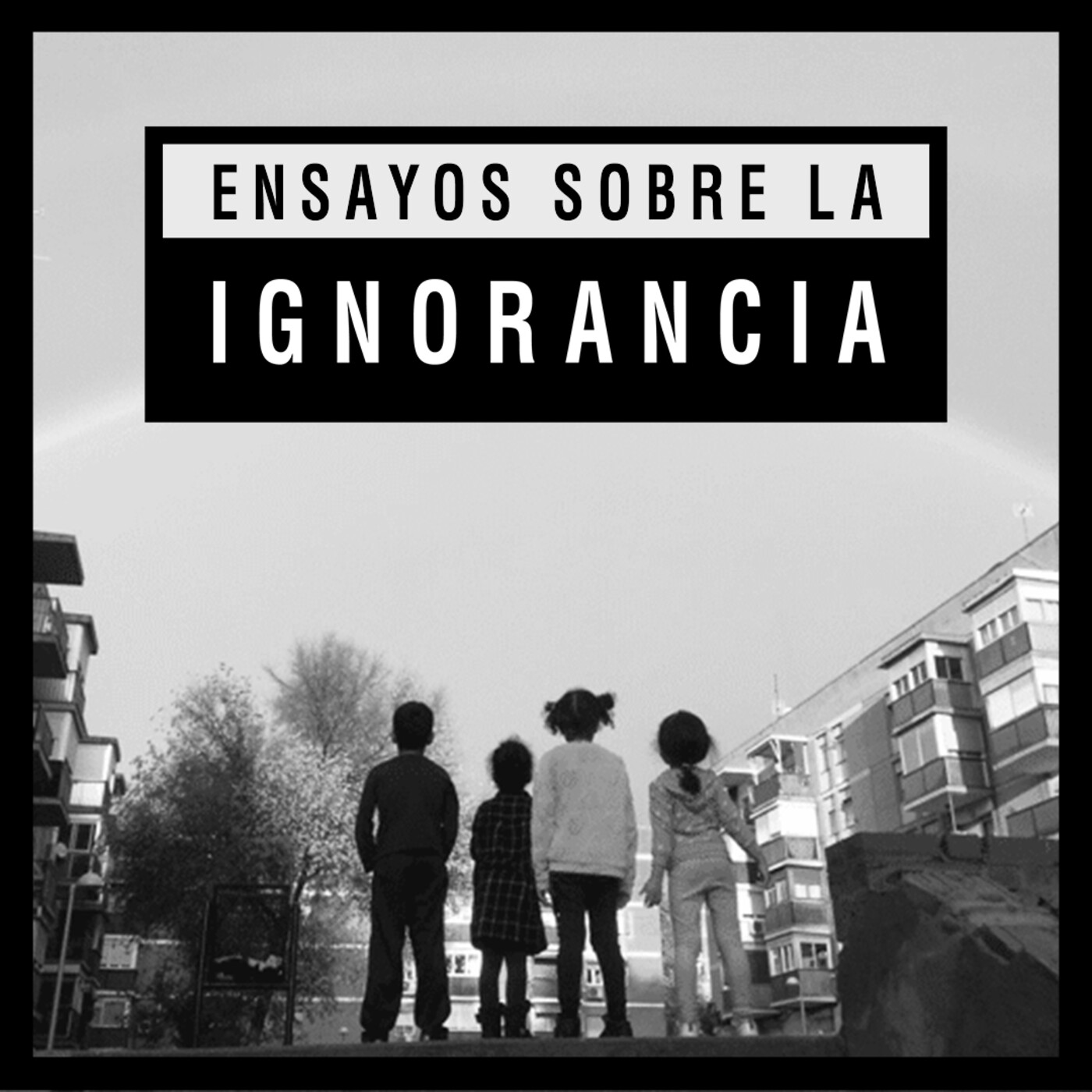 Ensayos sobre la ignorancia