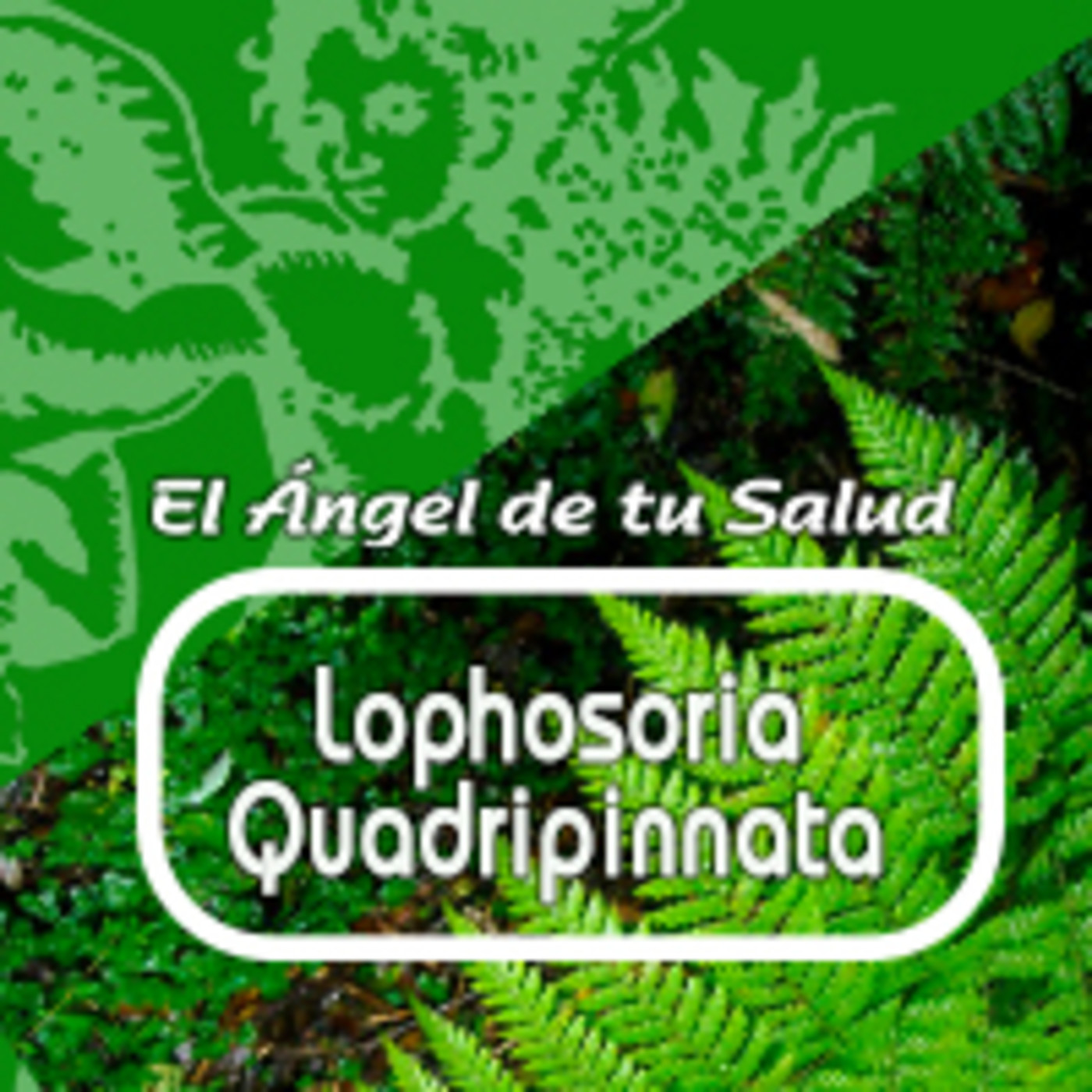 El Angel de tu Salud - CHIVO PEZ** episode artwork