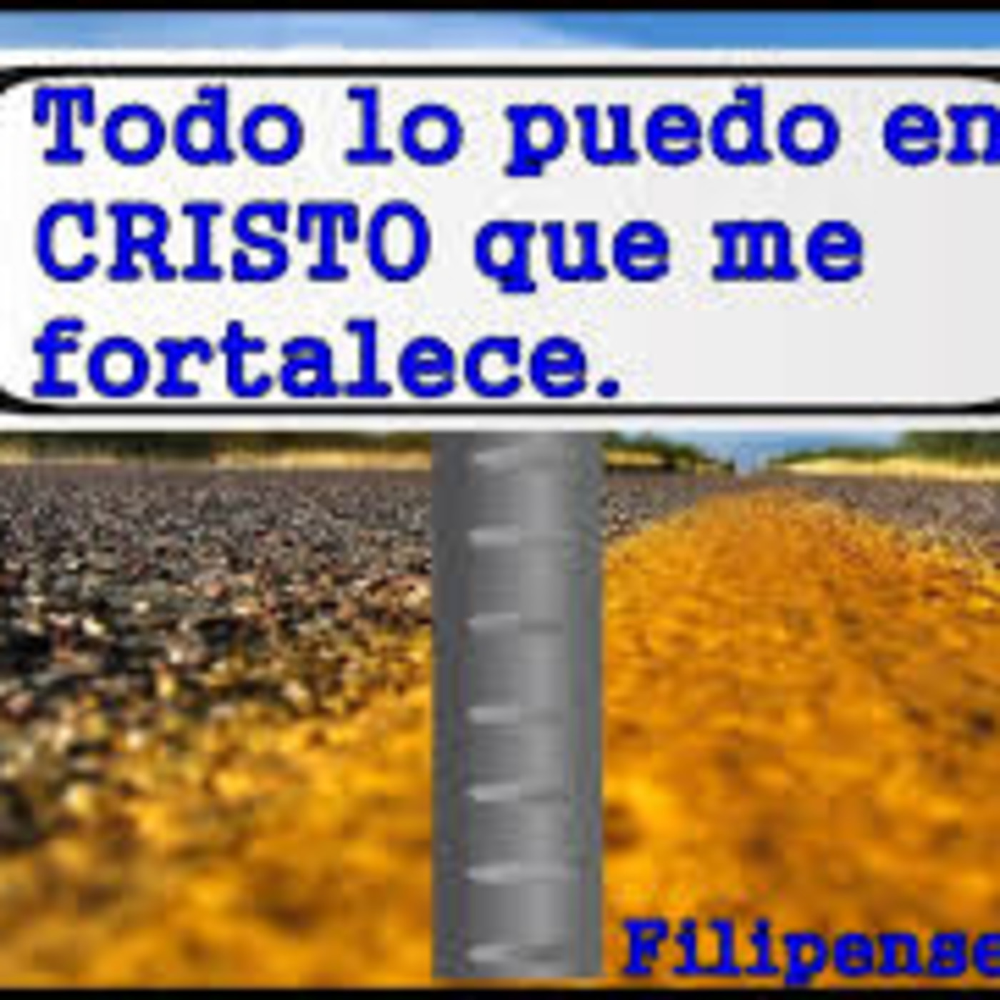 ofir urrea