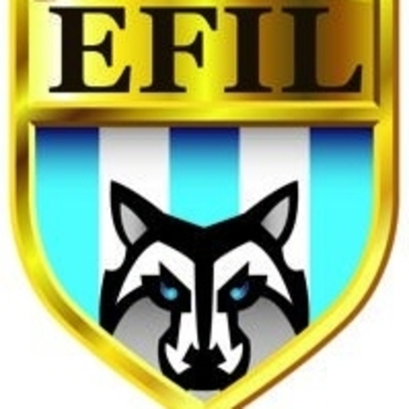 Liga Lobense Primera Division