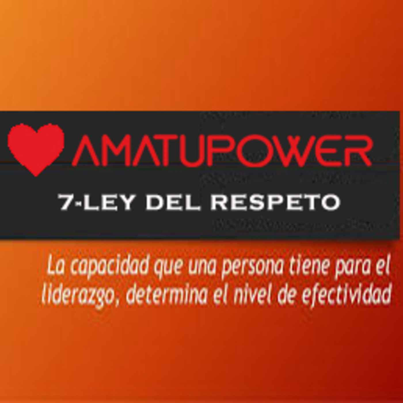 Las 21 leyes Irrefutables del liderazgo de John C.