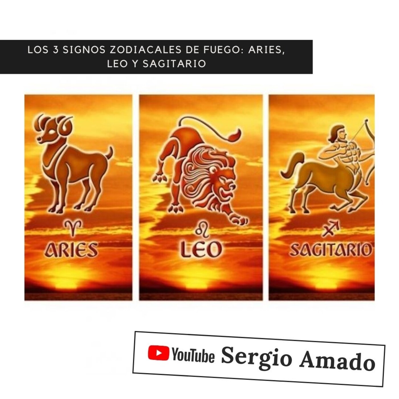 Sergio Amado