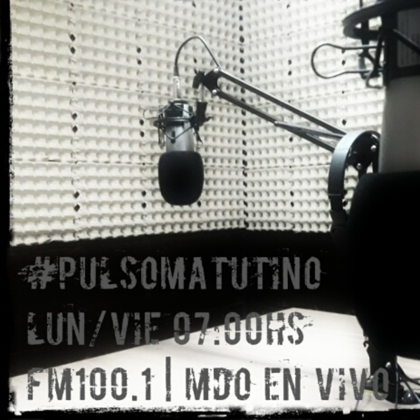 PULSO MATUTINO