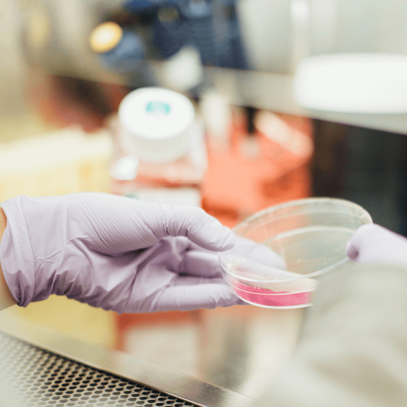 Lo verdaderamente divertido es hacer Ciencia