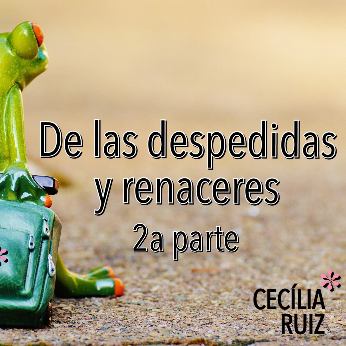 Blog Cecilia Ruiz Coach