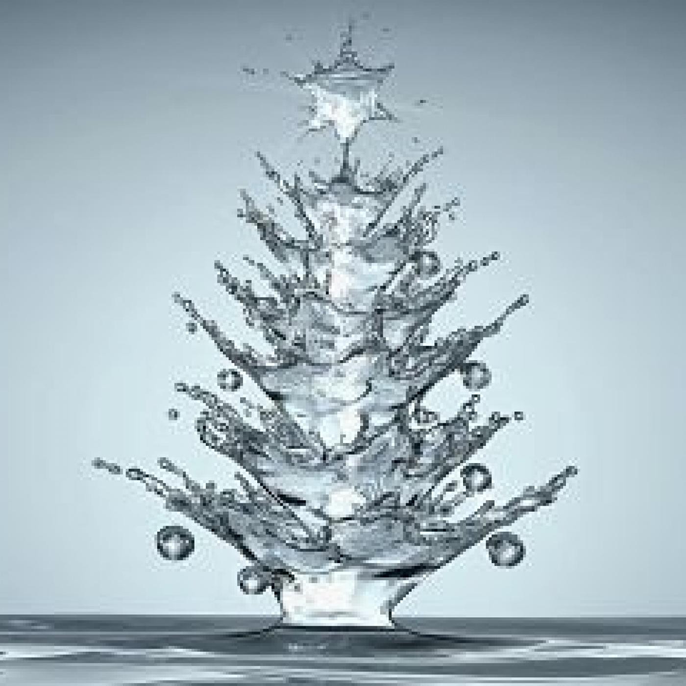 Ciclo Navideño 2015