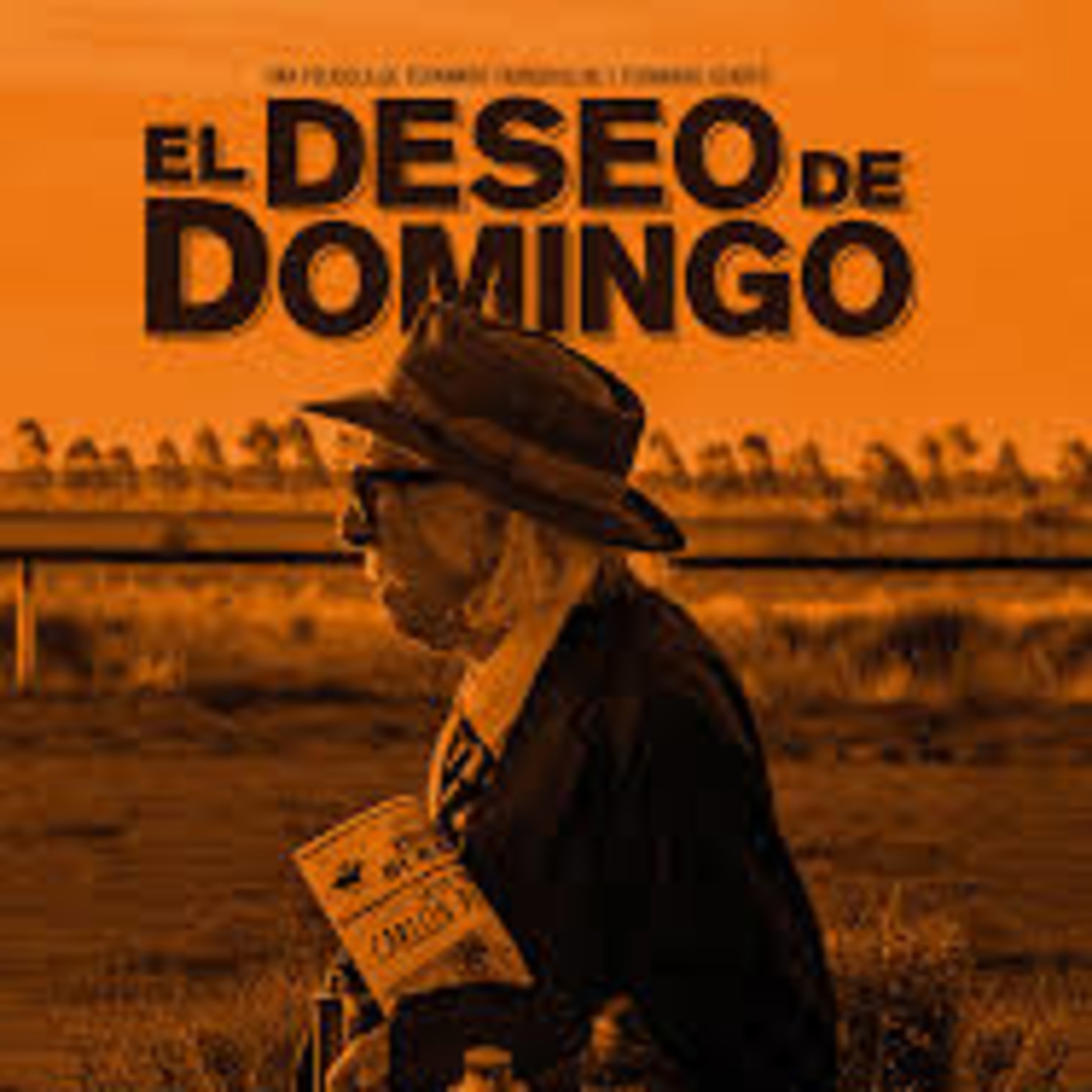 Fernando Tranquillini, el director cinematografico de la pelicula 'El deseo de Domingo' dialogo en Pelando Noticias episode artwork