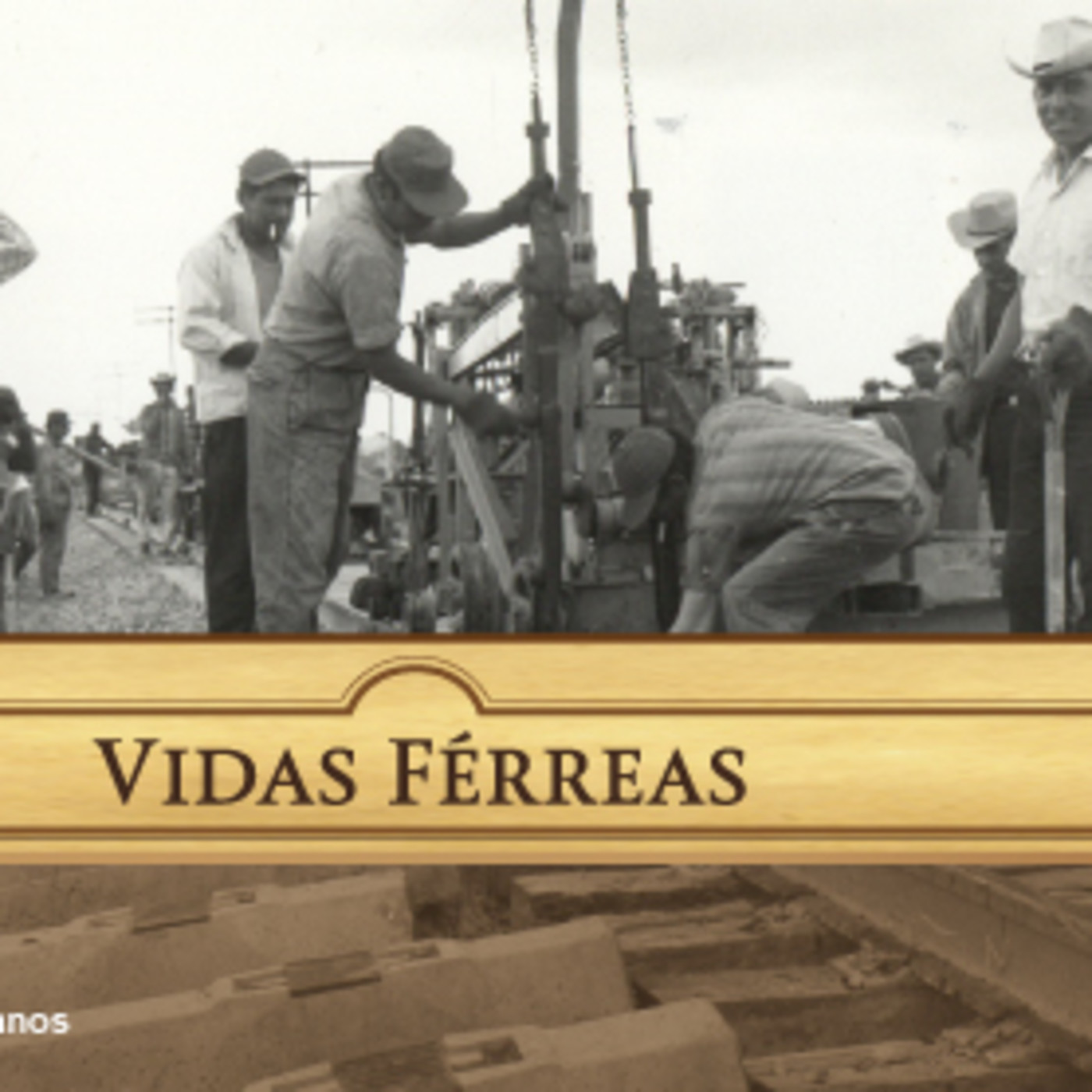 Vidas férreas