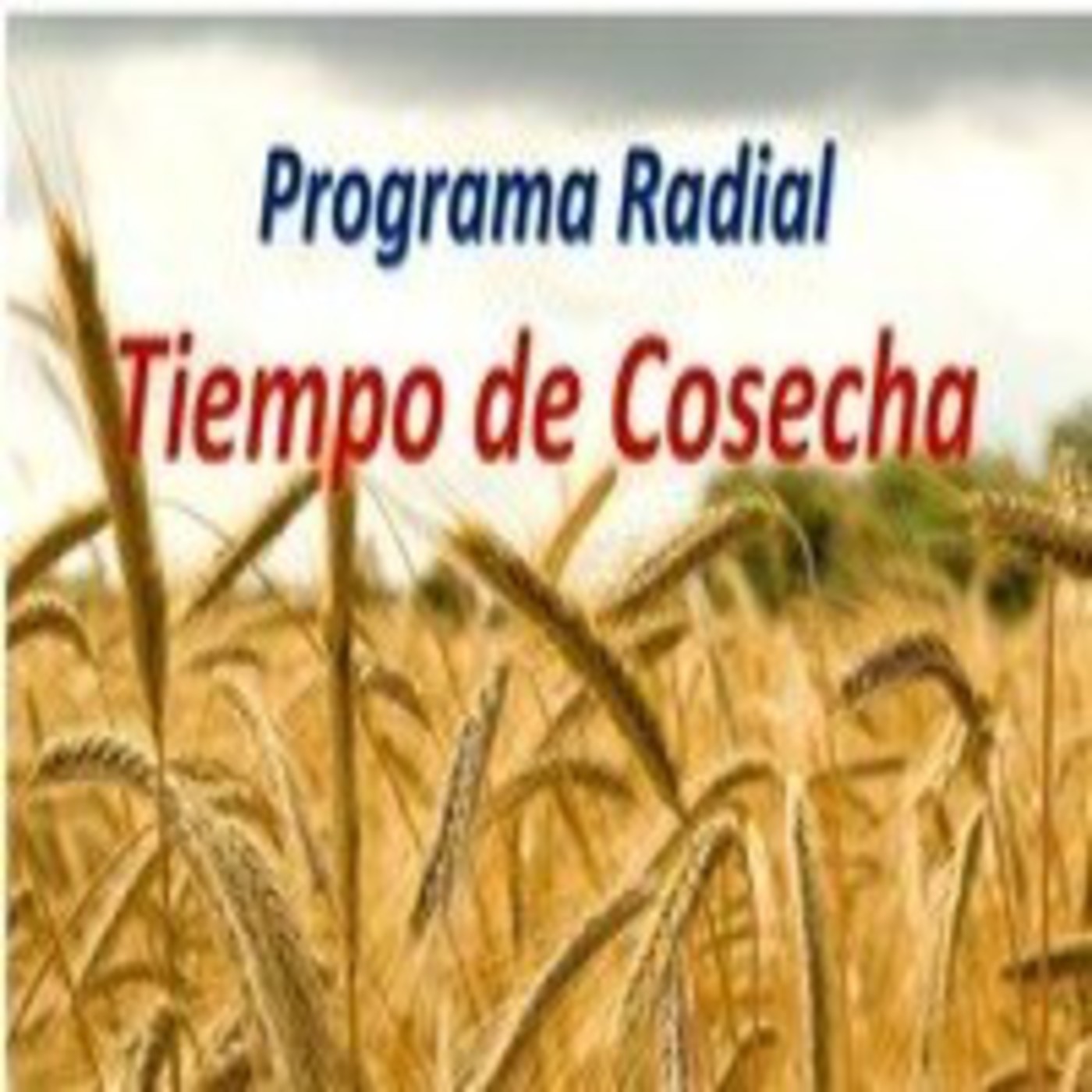 Podcast de Jose Hernan Rodriguez Martinez