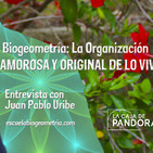 Biogeometría: La Organización Amorosa y Original de lo Vivo - Entrevista con Juan Pablo Uribe