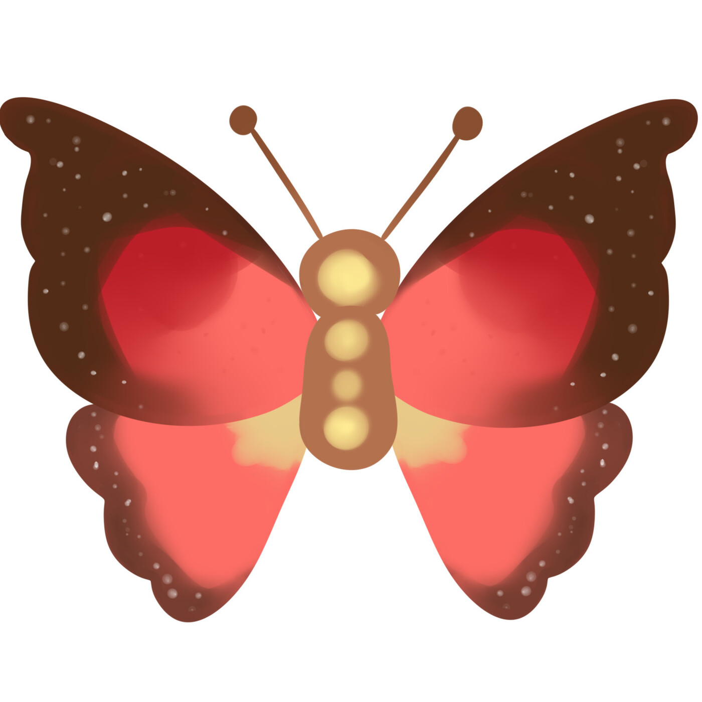 Bolboreta