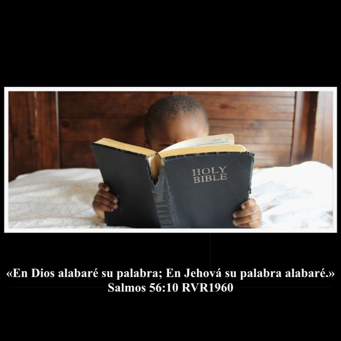 Reflexiones Cristianas