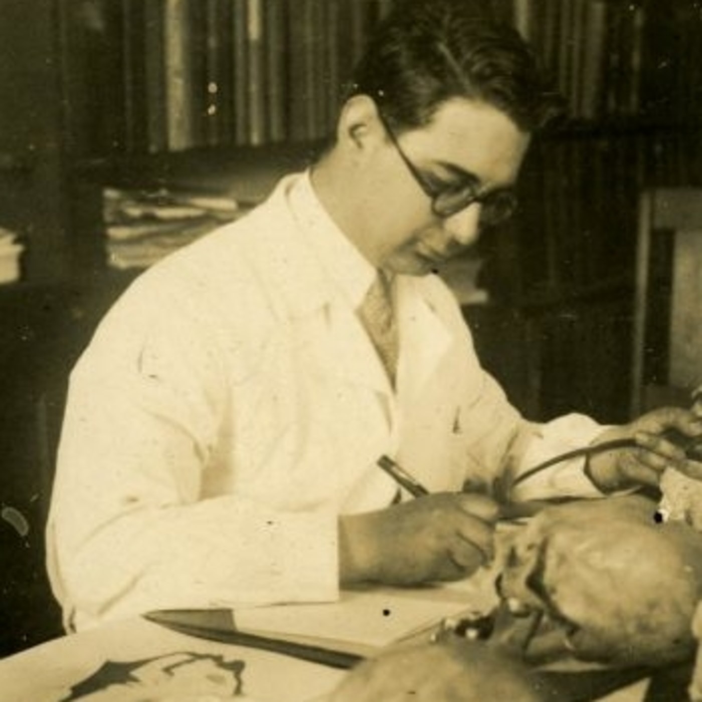 Crónicas Antárticas
