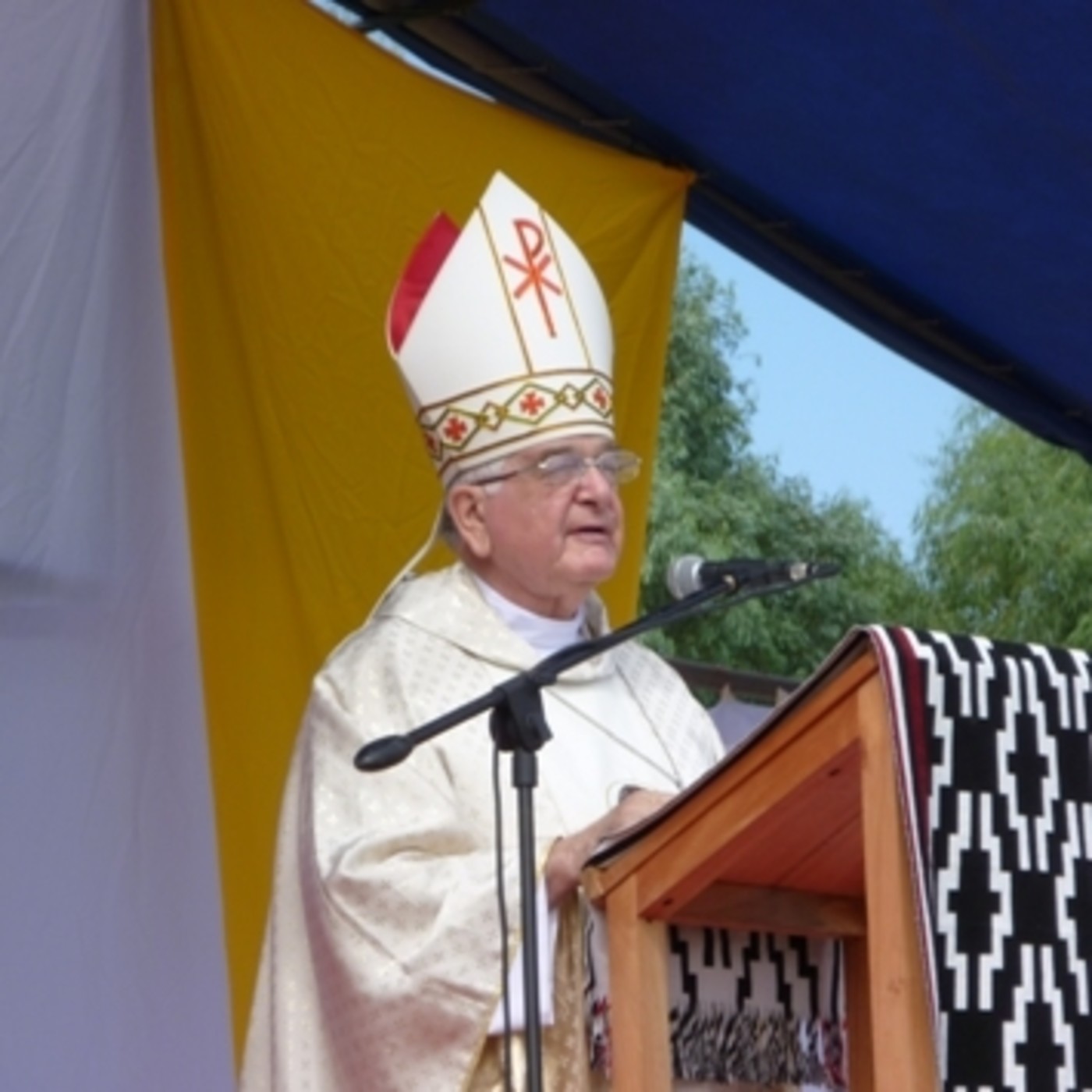Homilías, entrevistas, varios Católicos