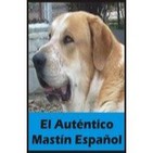 Segundo programa. Entrevista a un pastor: Rober