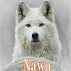 Anuncio NAWA Tarot y Tarot Evolutivo
