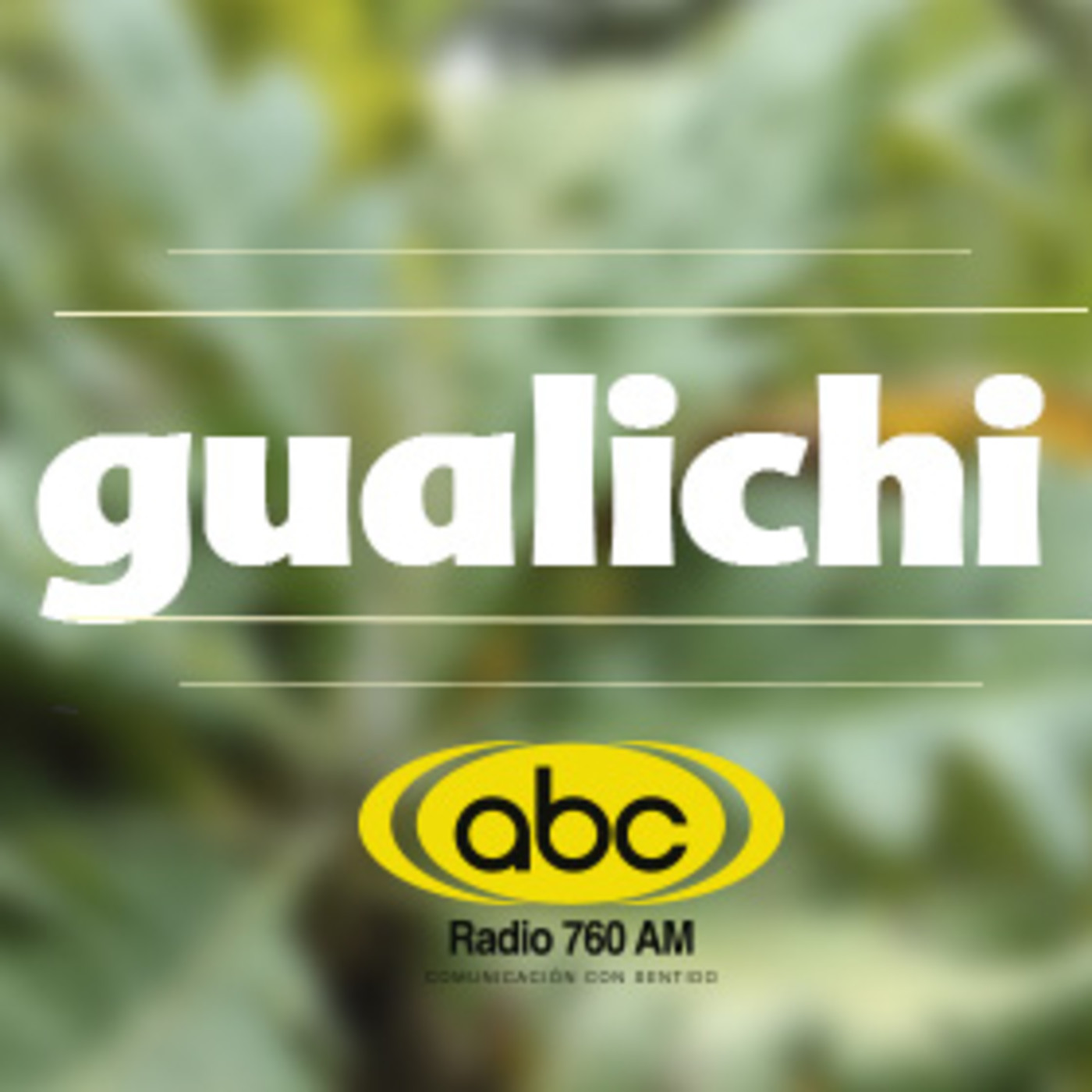 El Ángel de tu Salud - GUALICHI II episode artwork