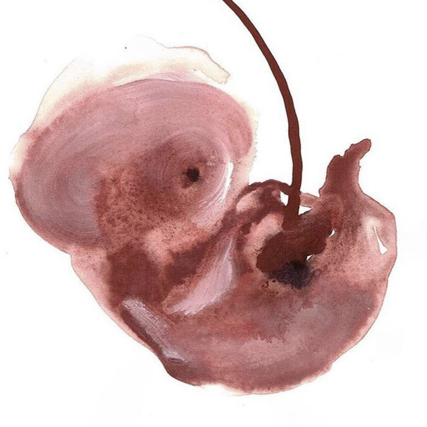 Paréntesis Cultural