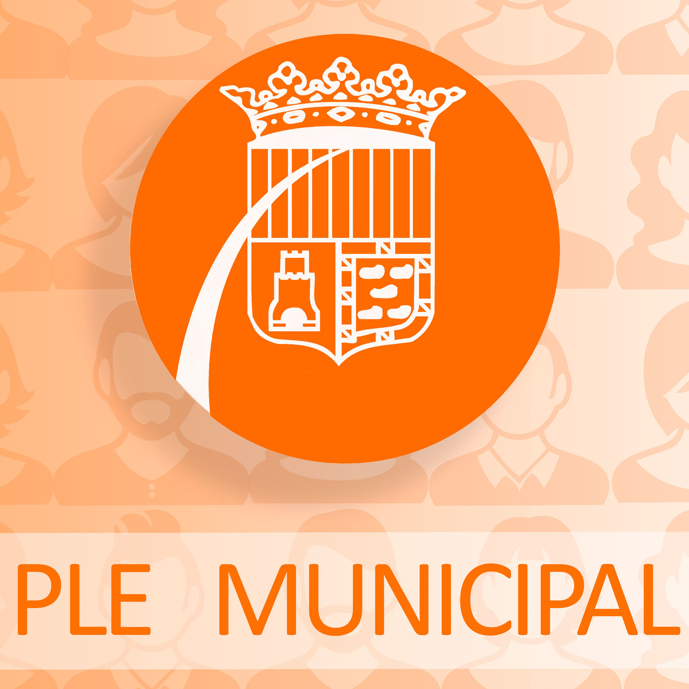 Resum del Ple de Novembre episode artwork